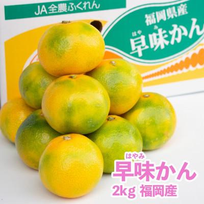ふるさと納税 篠栗町 [先行受付]福岡限定!オリジナルブランドみかん「早味かん」約2kg(篠栗町)