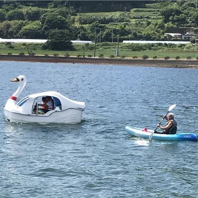 ふるさと納税 指宿市 [池田湖でアクティビティ体験]スワンボート 1台レンタル (60分間)えぷろんはうす池田