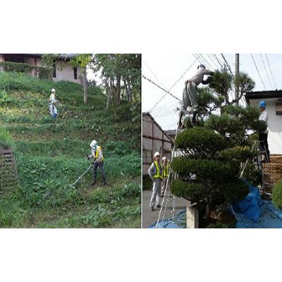 ふるさと納税 花巻市 空き家・空き地の管理安心サービス(草刈り・庭木剪定・枝切)1回分