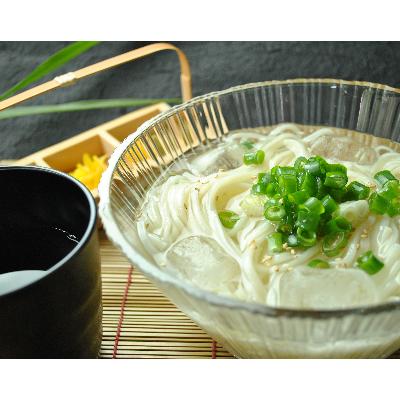 ふるさと納税 安城市 和泉手延べ麺　半生もどし長そうめん・乾ひやむぎ(計19人前)　たつみ麺店(STSSD) |  | 01