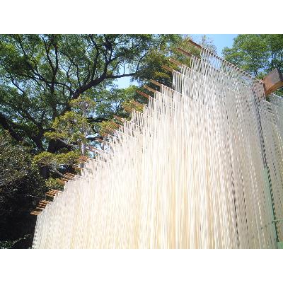 ふるさと納税 安城市 和泉手延べ麺　半生もどし長そうめん・乾ひやむぎ(計19人前)　たつみ麺店(STSSD) |  | 03