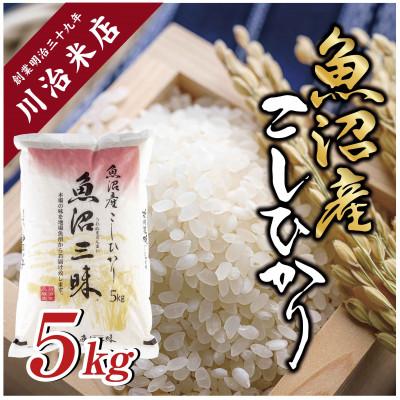 ふるさと納税 十日町市 [令和7年産]魚沼産コシヒカリ 「魚沼三昧(R)」5kg×1袋 新潟県十日町市