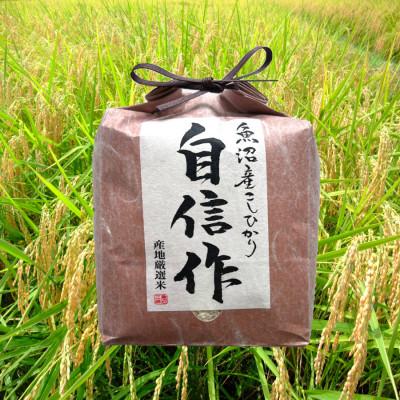 ふるさと納税 十日町市 [令和7年産]魚沼産コシヒカリ自信作 2kg