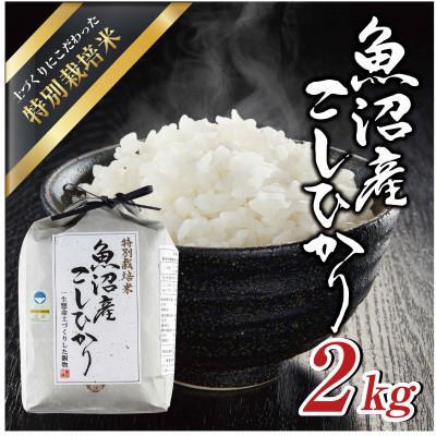 ふるさと納税 十日町市 [令和7年産]魚沼産コシヒカリ 特別栽培米 「魚沼三昧(R)」2kg×1袋 新潟県 十日町市