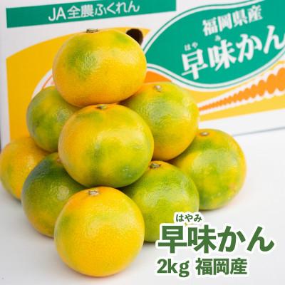 ふるさと納税 須恵町 [先行受付]福岡限定!オリジナルブランドみかん「早味かん」約2kg(須恵町)
