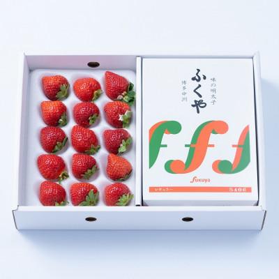 ふるさと納税 須恵町 [11月下旬より順次発送]博多名物「あまおう」&amp;「味の明太子」(ギフト箱)(須恵町)