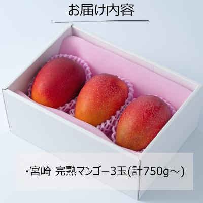 ふるさと納税 宮崎市 フルーツソムリエが選んだ宮崎完熟マンゴー3玉【宮崎市】(R9年4月上旬以降順次発送) |  | 02