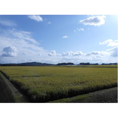 ふるさと納税 花巻市 岩手県花巻産「健土健米」ひとめぼれ　精米5kg×2袋　計10kg |  | 01