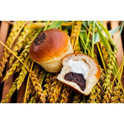 ふるさと納税 花巻市 岩手まるごと生クリームあんパン5個入り