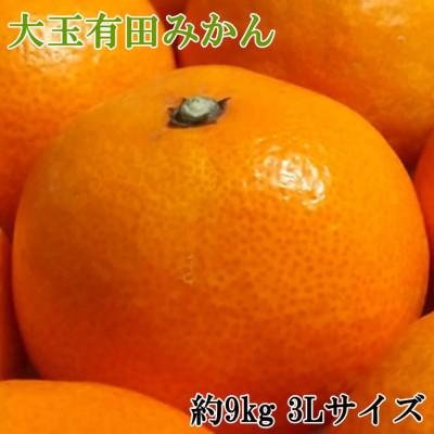 ふるさと納税 湯浅町 [秀品・食べごたえ十分]有田みかん大玉約9kg(3Lサイズ) 先行受付2026年11月中旬〜順次発送