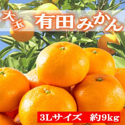 ふるさと納税 高野町 [食べごたえ十分]和歌山有田みかん大玉約9kg(3Lサイズ・秀品)[高野町]