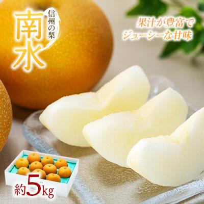 ふるさと納税 箕輪町 2026年秋!信州の梨【南水】約5kg　信州が生んだ甘い梨! |  | 01