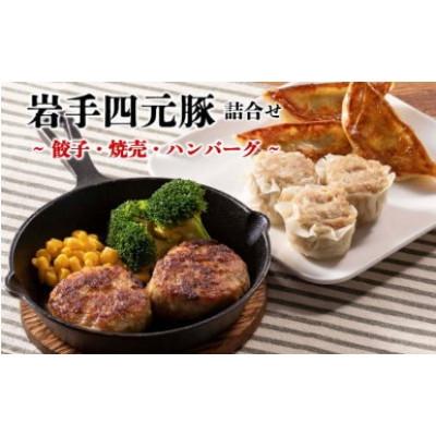 ふるさと納税 花巻市 カスイ 岩手四元豚3種詰合せ 餃子・焼売・ハンバーグ 化学調味料不使用