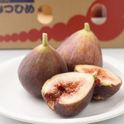 ふるさと納税 吉富町 [先行受付]福岡限定!ブランドいちじく「とよみつひめ」約300g×4パック(吉富町)