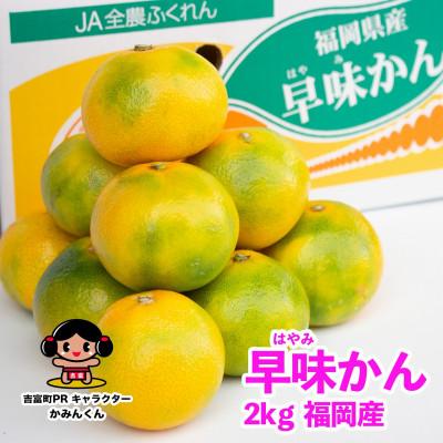 ふるさと納税 吉富町 [先行受付]福岡限定!オリジナルブランドみかん「早味かん」約2kg(吉富町)
