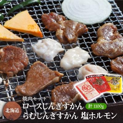 ふるさと納税 帯広市 焼肉セット (じんぎすかん2種、塩ホルモン) 計1.1kg 十勝 ジンギスカン ホルモン セット