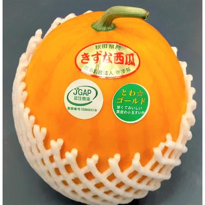 ふるさと納税 横手市 小玉すいか(とわ☆ゴールド)2Lサイズ1個入