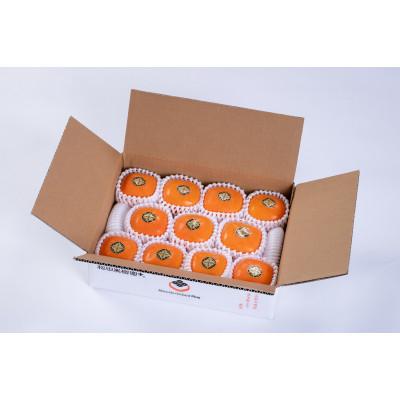 ふるさと納税 天理市 [R8年10月中下旬〜11月の発送]種なし柿 2L〜M 9個〜12個