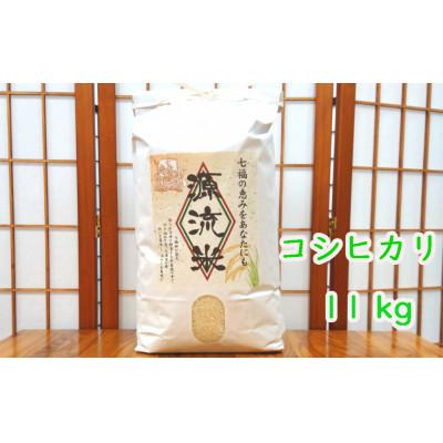 ふるさと納税 阿賀町 [令和5年産] 源流米(11kg) 〜七福の恵をあなたにも〜