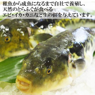 ふるさと納税 杵築市 大分水産の豊後とらふぐ鍋&高級魚くえ鍋の味比べセット6人前(冷凍) |  | 01