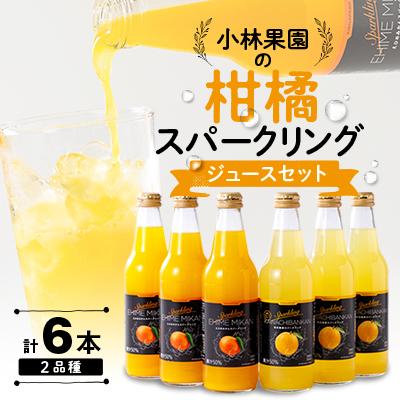 ふるさと納税 八幡浜市 小林果園の柑橘スパークリングジュースセット(2品種・計6本)[C24-28]