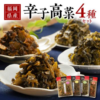 ふるさと納税 久留米市 福岡県産辛子高菜4種セット