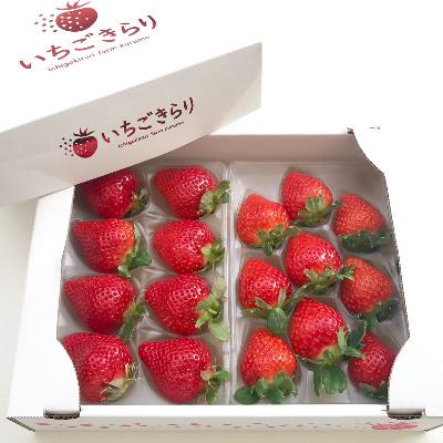 ふるさと納税 久留米市 旬のいちご詰め合わせ(ふくおかエコ農産物)約500g