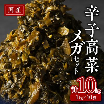 ふるさと納税 久留米市 国産辛子高菜メガセット