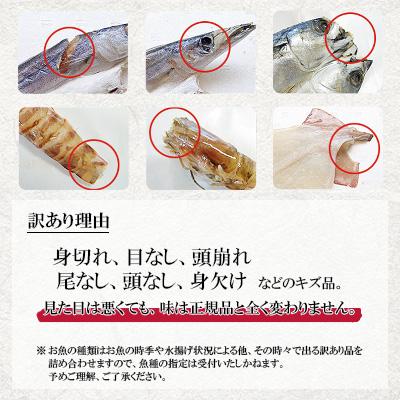 ふるさと納税 長崎市 【長崎加工】　訳ありおまかせ干物セット　8種類(24枚) |  | 02