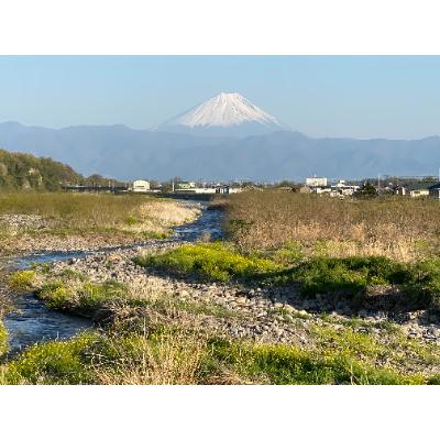 ふるさと納税 韮崎市 [あるく韮崎!]登山ガイドがご案内する武田の里日帰りまち歩きプライベートガイドチケット(定員1〜3)