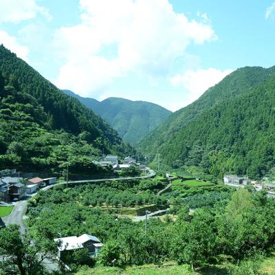 ふるさと納税 馬路村 【ゆずドリンク】ゆずとハチミツで作った馬路村公認飲料『ごっくん馬路村』180ml×24本入【450】 |  | 02