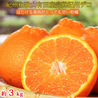 ふるさと納税 印南町 果肉プリプリ!完熟紀州デコ(不知火) 約3kg
