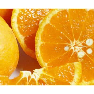 ふるさと納税 印南町 [ご家庭用訳アリ]初夏のみかん なつみ7.5kg