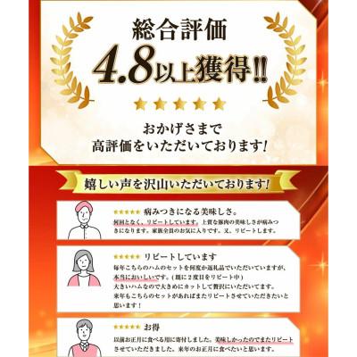 ふるさと納税 日向市 【11月〜1月限定発送】人気のハム2種セット 計1.22kg  贈答 ギフト 日本ハム 宴の彩り |  | 03
