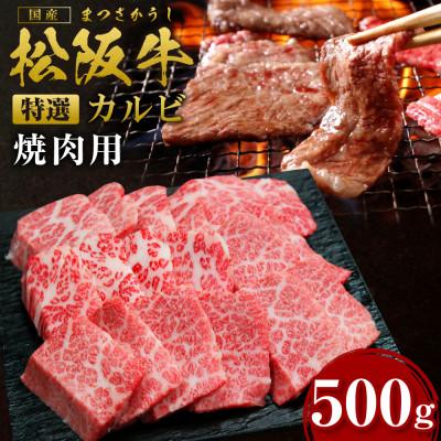 ふるさと納税 多気町 松阪牛焼肉(特選カルビ)(SS-24)