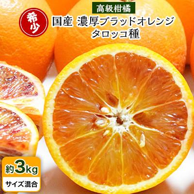 ふるさと納税 印南町 [希少・高級柑橘]国産濃厚ブラッドオレンジ「タロッコ種」約3kg(印南町)