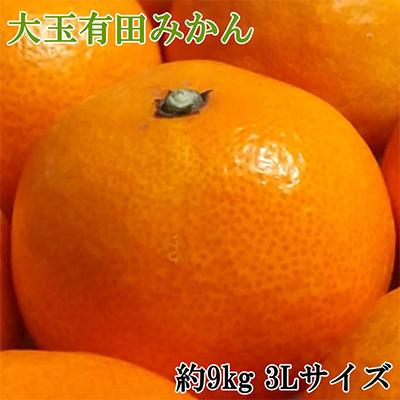 ふるさと納税 印南町 [食べごたえ十分]和歌山有田みかん大玉約9kg(3Lサイズ・秀品)[印南町]