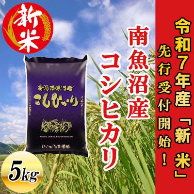 ふるさと納税 南魚沼市 [先行受付]南魚沼産コシヒカリ5kg&lt;2025年11月上旬発送開始予定&gt;