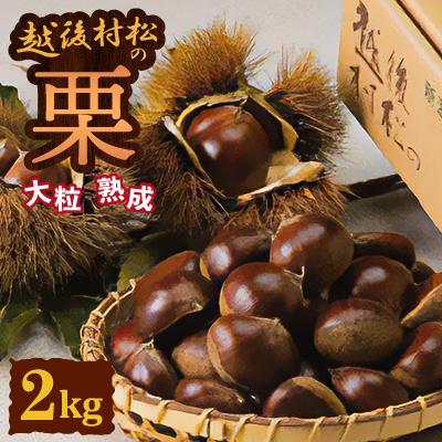 ふるさと納税 五泉市 [10月下旬発送]越後村松の栗2kg