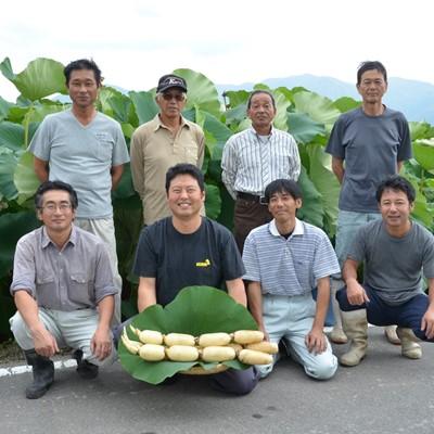 ふるさと納税 五泉市 ＜11月上旬発送＞新潟県五泉市産蓮根「五泉美人」4kg |  | 02