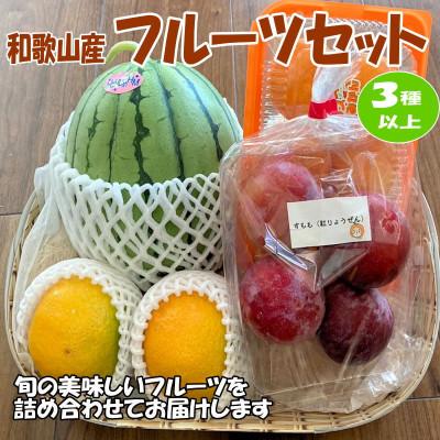 ふるさと納税 印南町 [旬のフルーツ詰め合わせ]フルーツ王国和歌山のフルーツセット