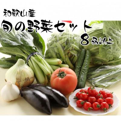 ふるさと納税 印南町 旬の新鮮野菜セット 8種以上[野菜詰め合わせ]
