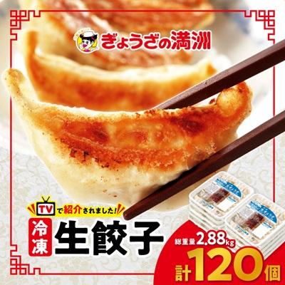 ふるさと納税 坂戸市 冷凍生餃子10パック(120個) ぎょうざの満洲