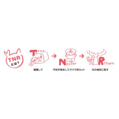 ふるさと納税 富士吉田市 【訳あり】コーヒー 粉 640g ふるさと納税で動物保護 さくらねこ 野良猫 TNR活動 支援 |  | 02