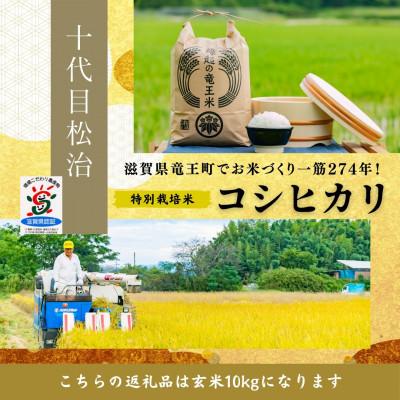 ふるさと納税 竜王町 [令和7年産]特別栽培米 十代目松治のコシヒカリ 「縁起の竜王米」 玄米10kg 滋賀県産