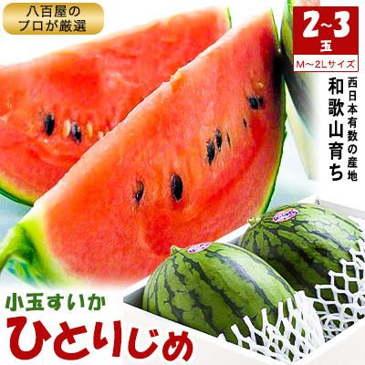 ふるさと納税 印南町 小玉すいか≪ひとりじめ≫2〜3玉/和歌山産