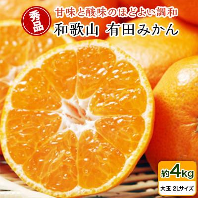 ふるさと納税 印南町 [秀品]和歌山有田みかん約4kg(2Lサイズ)