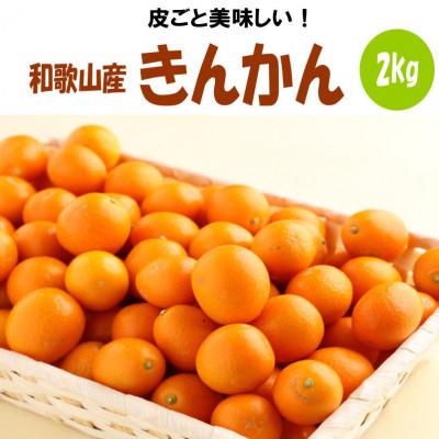 ふるさと納税 印南町 完熟きんかん/金柑 約2kg 和歌山産