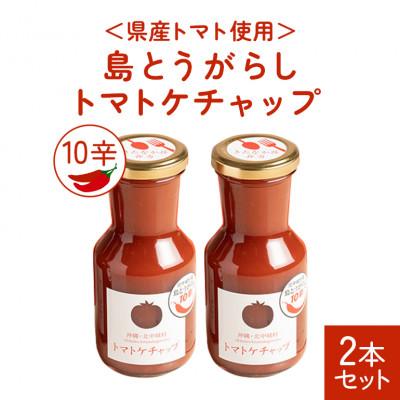 ふるさと納税 北中城村 [きたなかそう]県産トマト使用 島とうがらし10辛 2本セット