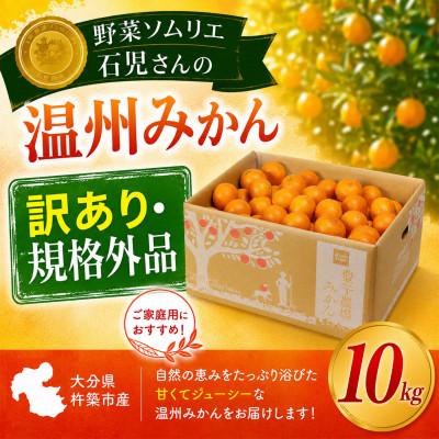 ふるさと納税 杵築市 [訳あり規格外品]野菜ソムリエが育てた九州・大分県杵築産「温州みかん」10kg(サイズ混合不揃い)